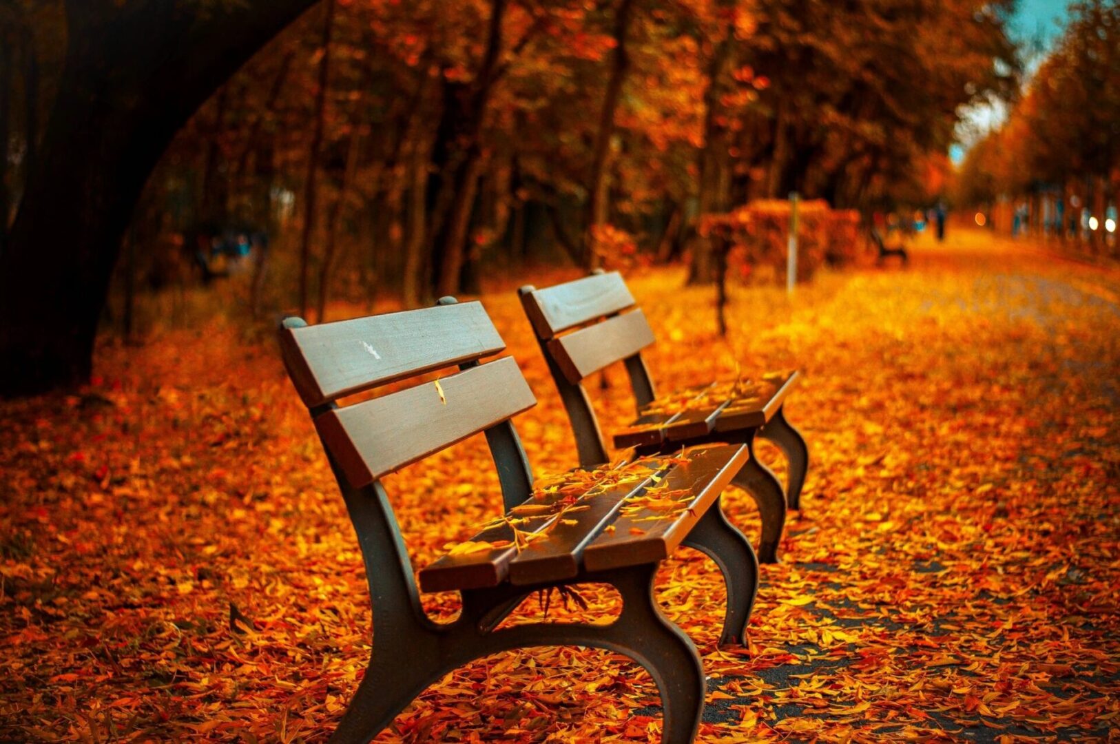 qtq80-F8Hpty qtq80-F8Hpty